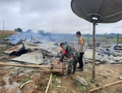 Basecamp Pembibitan Sawit PT.DJL, Hangus Terbakar