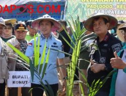 Genjot Sektor Unggulan, Ikbar – Abuhaera Pimpin Gerakan Tanam Serentak Padi Gogo di Motui
