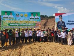 Pemprov Sultra Mendukung Program Serentak Padi Gogo dan Kelapa Sawit di Konawe Utara 